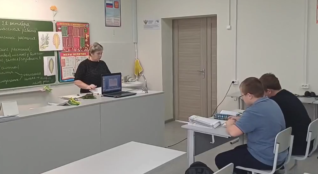 ученики 7 класса на уроке биологии